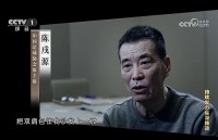 送30万给陈戌源拜码头！付翔和辜建明被判，朱艺：双肩包1号和2号